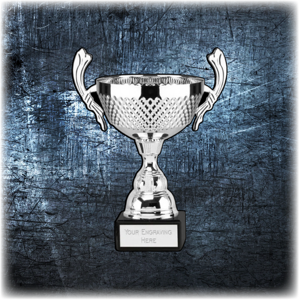 Viking Cup